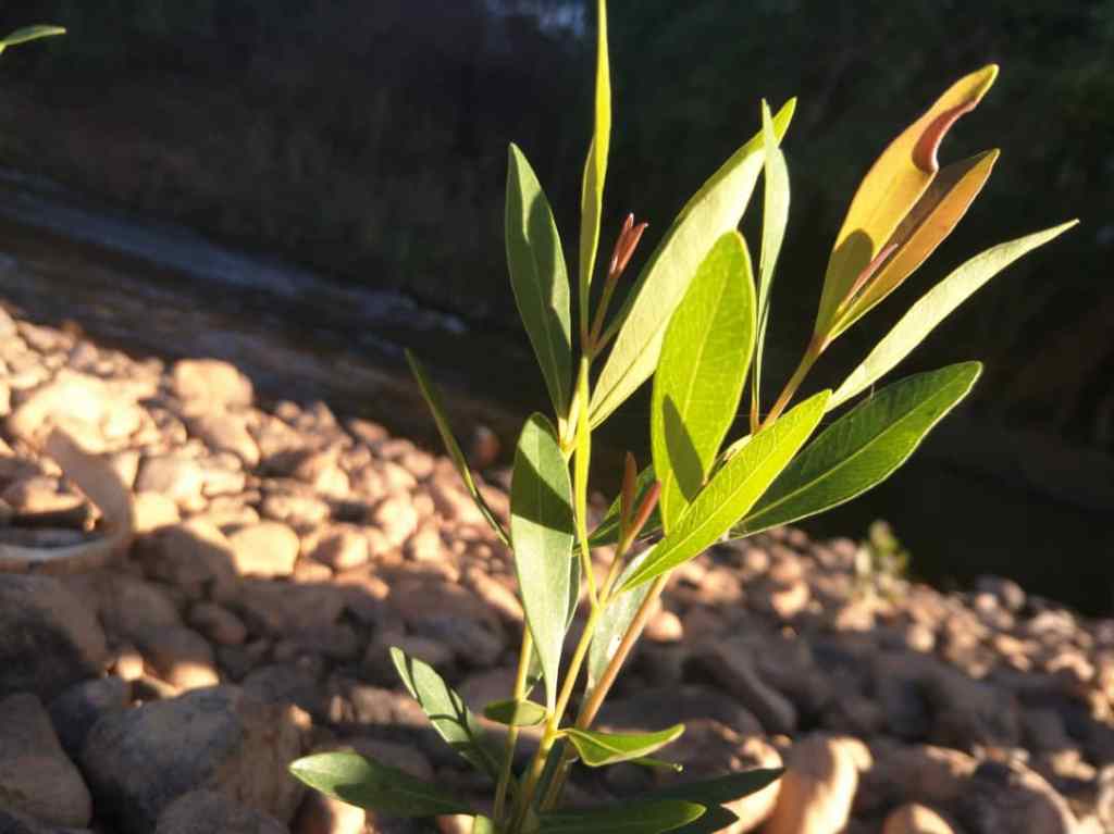 Let it take time and&nbsp;delays.